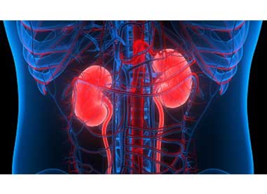 Kidney Health for All