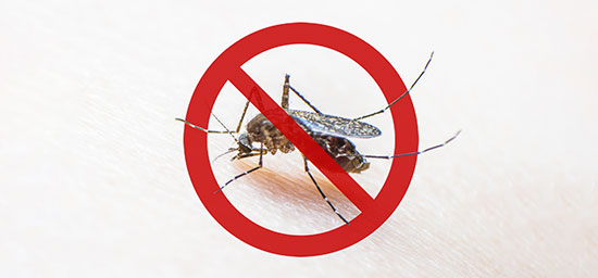 Malaria Prevention Programs